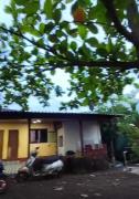 Top Dapoli