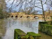 Top Montfort-le-Gesnois