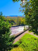 Los Naranjos de Jerte