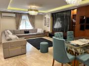 Luxurious apt near city stars