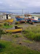 Top Quellón Top Quellón