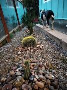 Top Bisbee