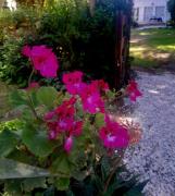 Top Estancia El Polomo