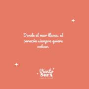 Top Estancia El Polomo