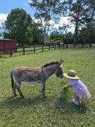 Mandalay Park Farmstay Dooralong Private Farm Holiday Home with Pool Animals