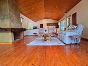 Teresita karen-giraffes area