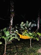 casa refugio das bromelhas