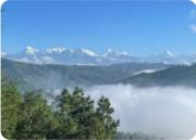 Dhyan Anand Homestay