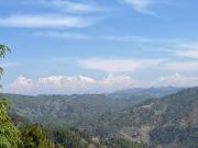 Top Almora Top Almora