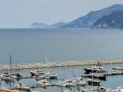 Top Salerno