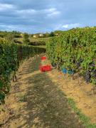 Top Rocchetta Tanaro