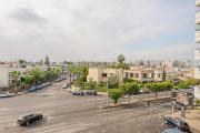Top Casablanca