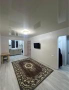 1ოთახიანი ბინა