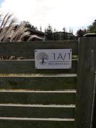 Top Nowe Warpno Top Nowe Warpno