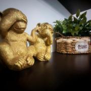 Historic Center Residence