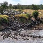 Summit Scape Adventures Safaris Limited