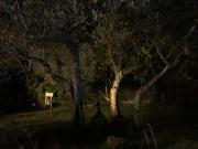 Top Castiglion Fiorentino