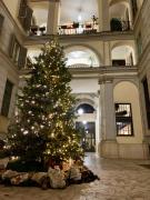 A due passi dal Colosseo