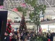 Top Boscoreale Top Boscoreale