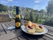 Charming Dog-Friendly Guesthouse