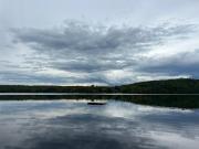 Top Sprucedale