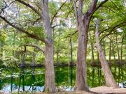 Top Leakey