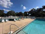 Top Salt Springs