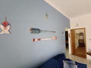 House with Atlantic Forest in the background - Saíra Sete Cores