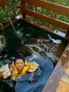 Top Kami Amakusa Top Kami Amakusa