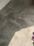 Hotel Padmika Suites