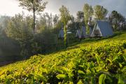 Top Ooty