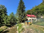 Casa Trei Brazi Bratca