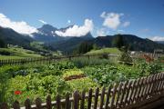 Top La Valle