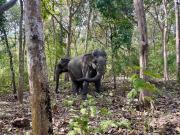 Top Buôn Ma Thuột