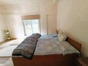 Golden Orchard Mornings