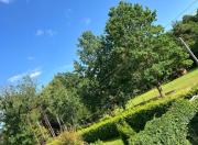 Top Święta Katarzyna Top Święta Katarzyna