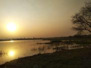 Top Bhopal