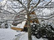 Top Zag贸rnik Top Zag贸rnik