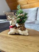 Top Bańska Wyżna Top Bańska Wyżna