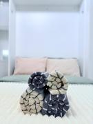 Top Braşov Top Braşov