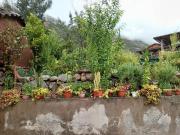 Top Urubamba