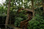 Avana Holiday Experiences,Wayanad