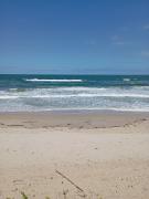 Top São Francisco do Sul