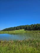 Top Howick
