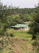 Top Howick