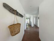 Top Cachagua Top Cachagua