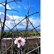 Top Granadilla de Abona