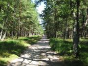 Top Dźwirzyno Top Dźwirzyno