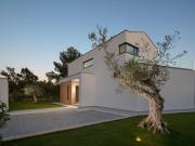Top Vabriga