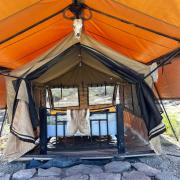 Top Kenplains